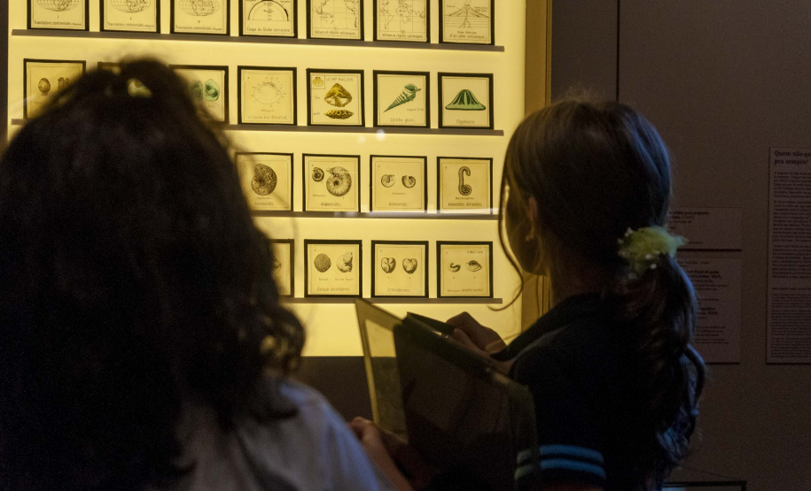 Programação de férias no MUPA