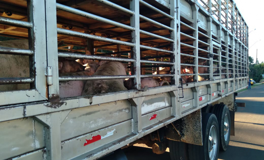 Operação da Receita identifica cargas irregulares e aplica multas de R$ 299,4 mil na região Centro-Sul