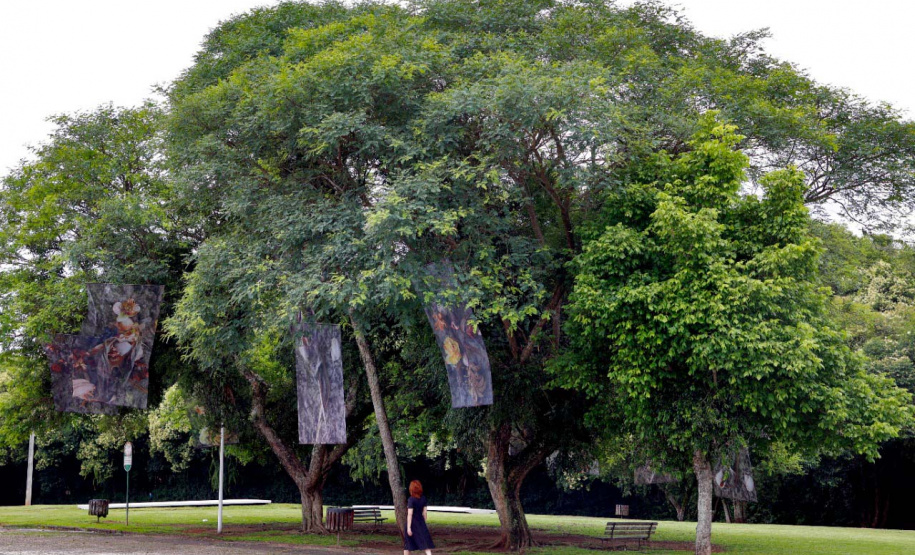 Museu Oscar Niemeyer leva arte para a área externa, num projeto inédito