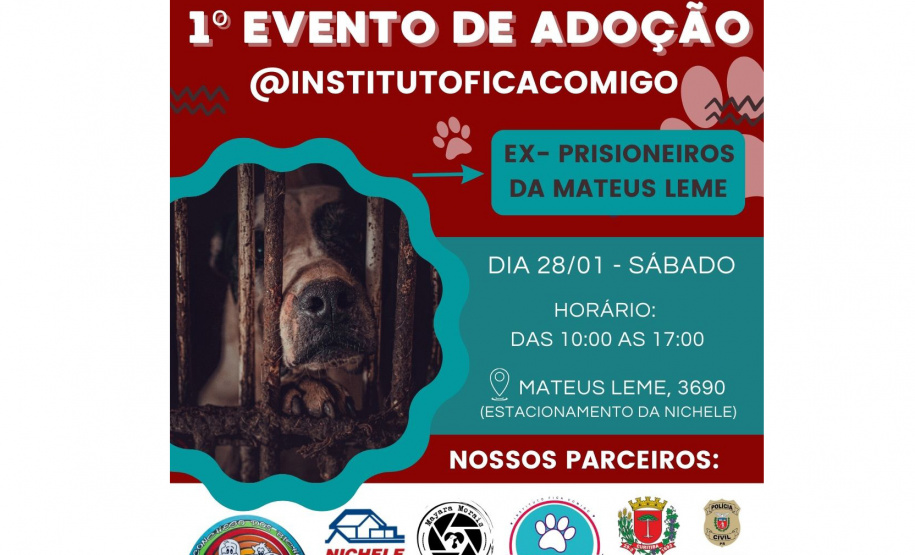 PCPR participa de evento de doação de cães que foram resgatados em Curitiba
