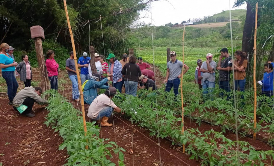 IDR-Paraná investe em capacitação para incentivar a produção agroecológica