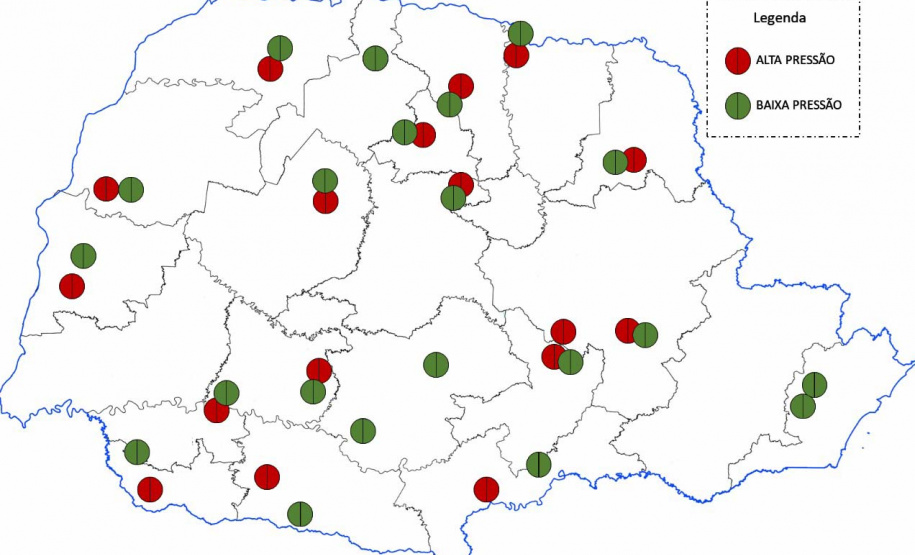 Adapar intensifica monitoramento do enfezamento do milho no Paraná