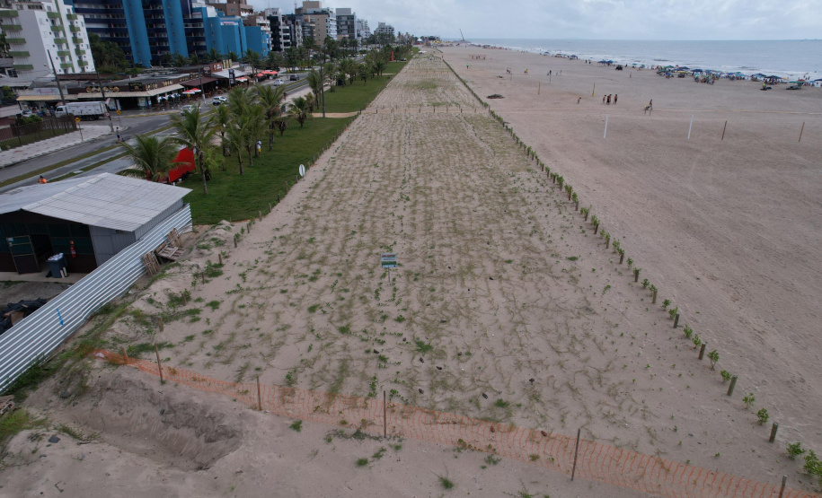 Revitalização da Orla de Matinhos vai ampliar em quase 5 vezes a área com restinga nativa