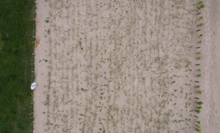 Revitalização da Orla de Matinhos vai ampliar em quase 5 vezes a área com restinga nativa