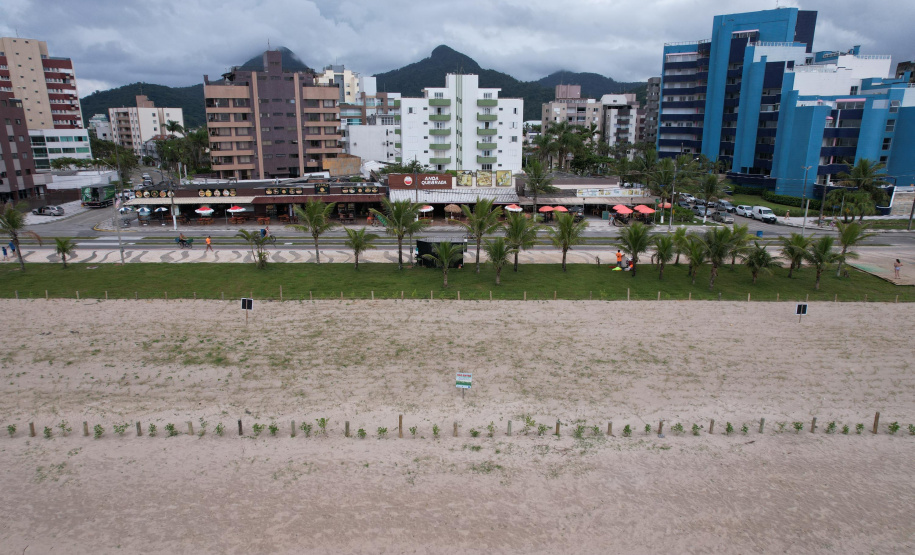 Revitalização da Orla de Matinhos vai ampliar em quase 5 vezes a área com restinga nativa