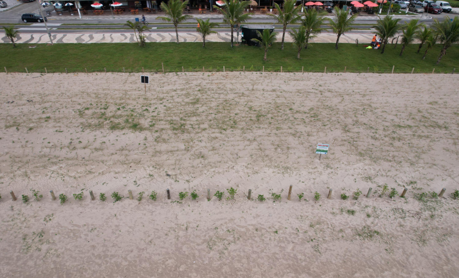 Revitalização da Orla de Matinhos vai ampliar em quase 5 vezes a área com restinga nativa