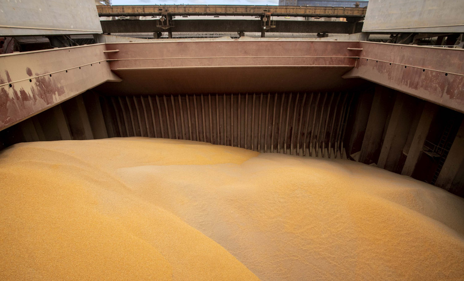 Comunidade portuária do Paraná alcança novo recorde histórico de movimentação