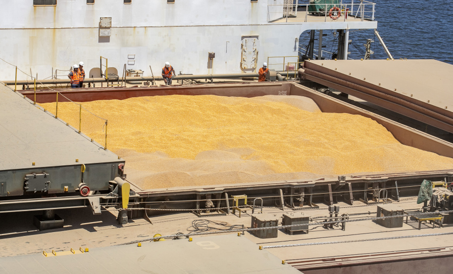 Volume de milho embarcado em janeiro, pelo Porto de Paranaguá, está 161% maior