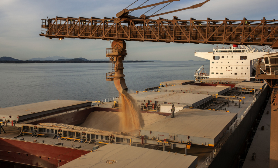 Porto de Paranaguá espera carregar sete milhões de toneladas de grãos e farelos no 1º trimestre do ano