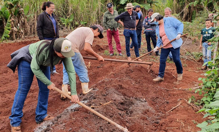 IDR-Paraná investe em capacitação para incentivar a produção agroecológica