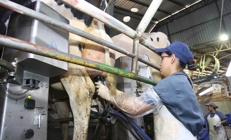 Conselho do Trabalho aprova aumento real em todas as faixas do Salário Mínimo Regional