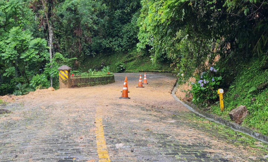 Fomento Paraná oferece crédito com condições especiais a empreendedores afetados pelas chuvas