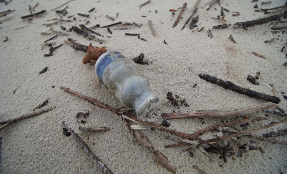 Mutirão recolhe quase uma tonelada de lixo marinho da Ilha do Mel