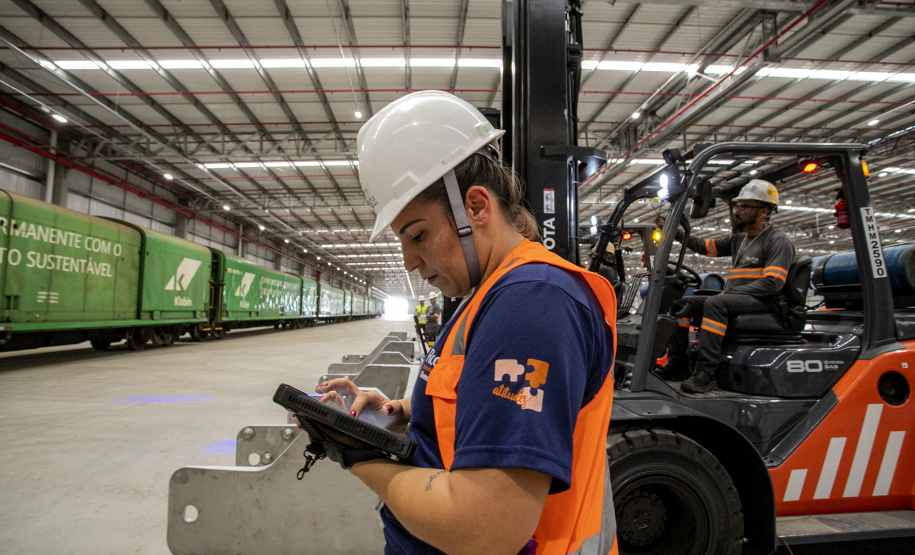 Portuários representam 11,3% da força de trabalho formal em Paranaguá