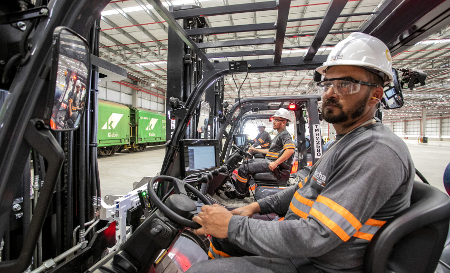 Portuários representam 11,3% da força de trabalho formal em Paranaguá
