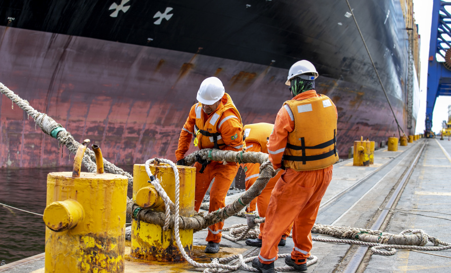 Portuários representam 11,3% da força de trabalho formal em Paranaguá