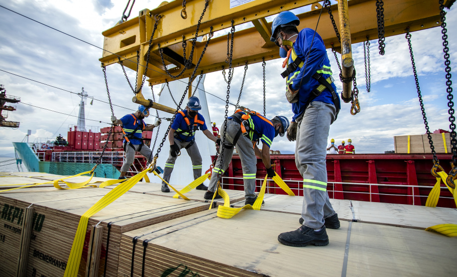 Portuários representam 11,3% da força de trabalho formal em Paranaguá
