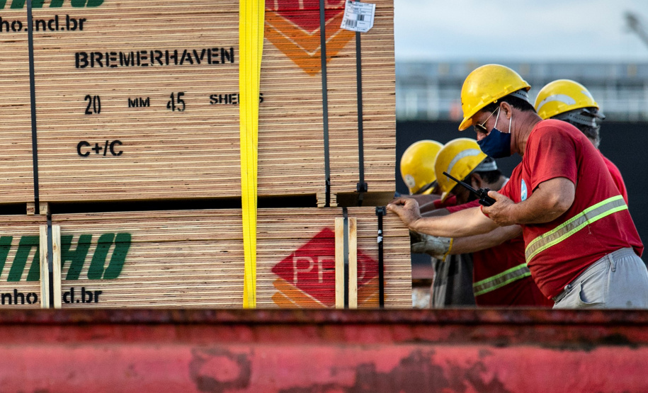 Portuários representam 11,3% da força de trabalho formal em Paranaguá