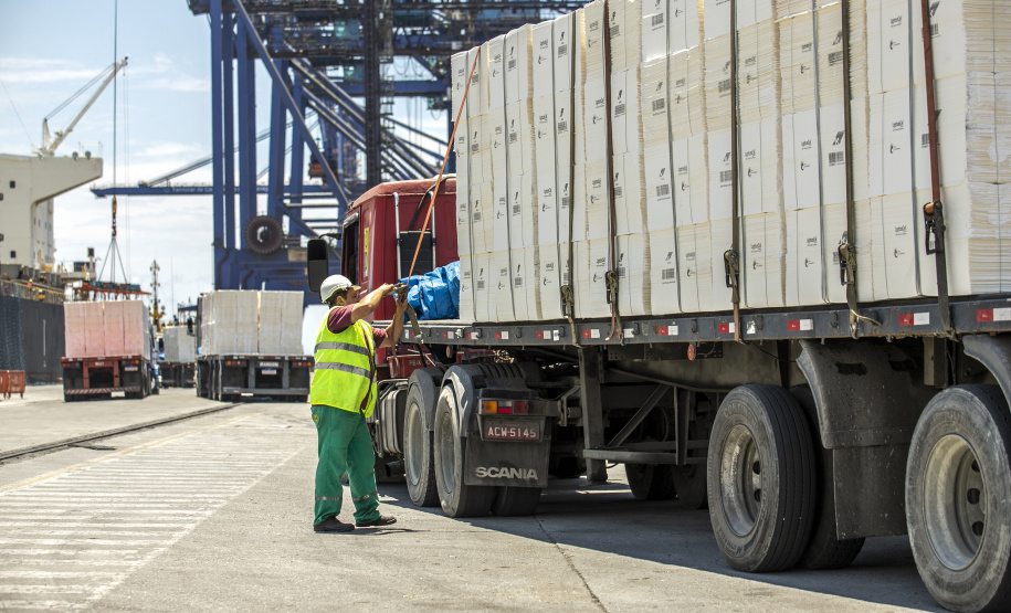 Portuários representam 11,3% da força de trabalho formal em Paranaguá
