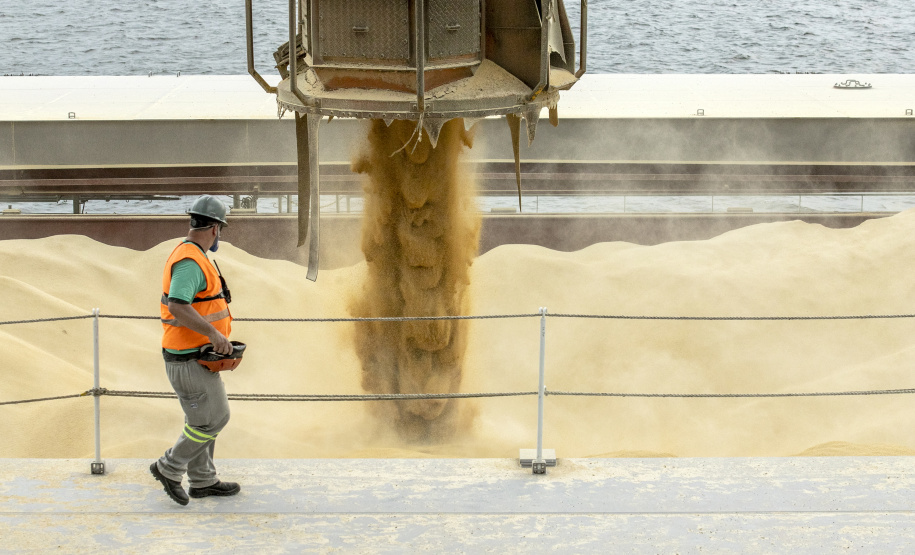Portuários representam 11,3% da força de trabalho formal em Paranaguá