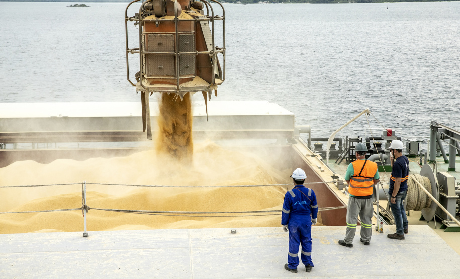 Portuários representam 11,3% da força de trabalho formal em Paranaguá