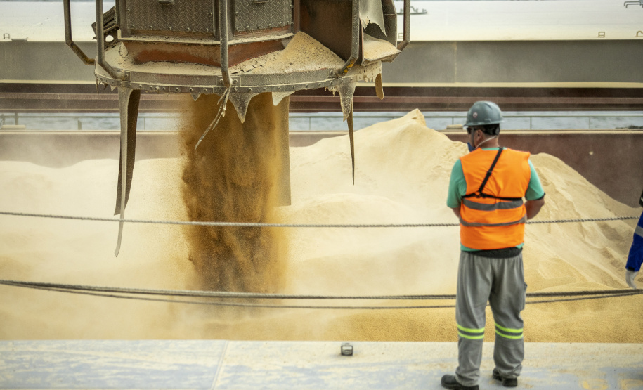 Portuários representam 11,3% da força de trabalho formal em Paranaguá
