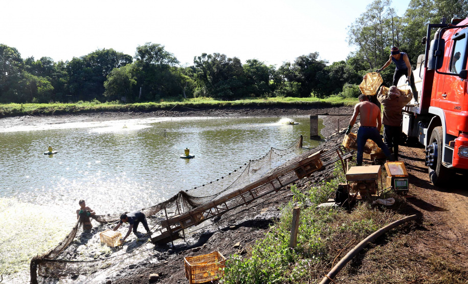 Conselho do Trabalho aprova aumento real em todas as faixas do Salário Mínimo Regional
