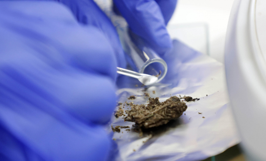 Polícia Científica do Paraná desponta na identificação de novas drogas e inserção de perfis genéticos