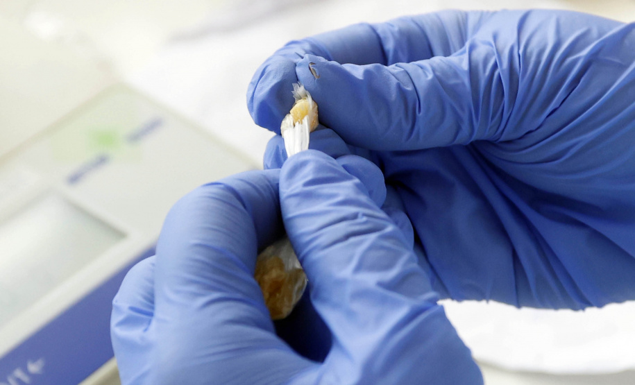 Polícia Científica do Paraná desponta na identificação de novas drogas e inserção de perfis genéticos