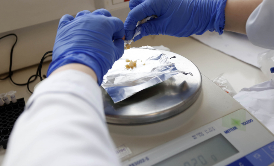 Polícia Científica do Paraná desponta na identificação de novas drogas e inserção de perfis genéticos