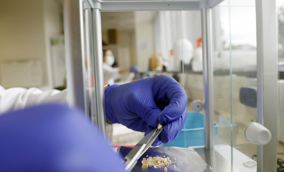 Polícia Científica do Paraná desponta na identificação de novas drogas e inserção de perfis genéticos