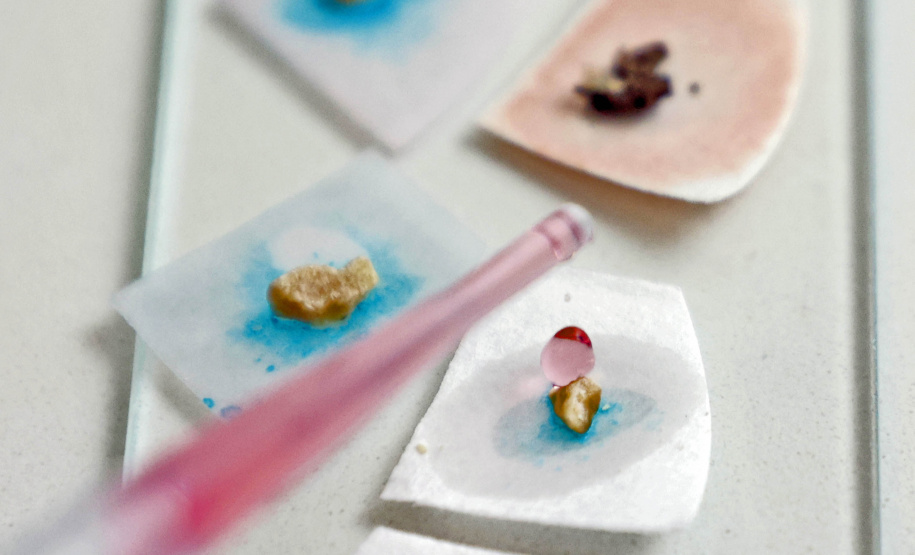 Polícia Científica do Paraná desponta na identificação de novas drogas e inserção de perfis genéticos