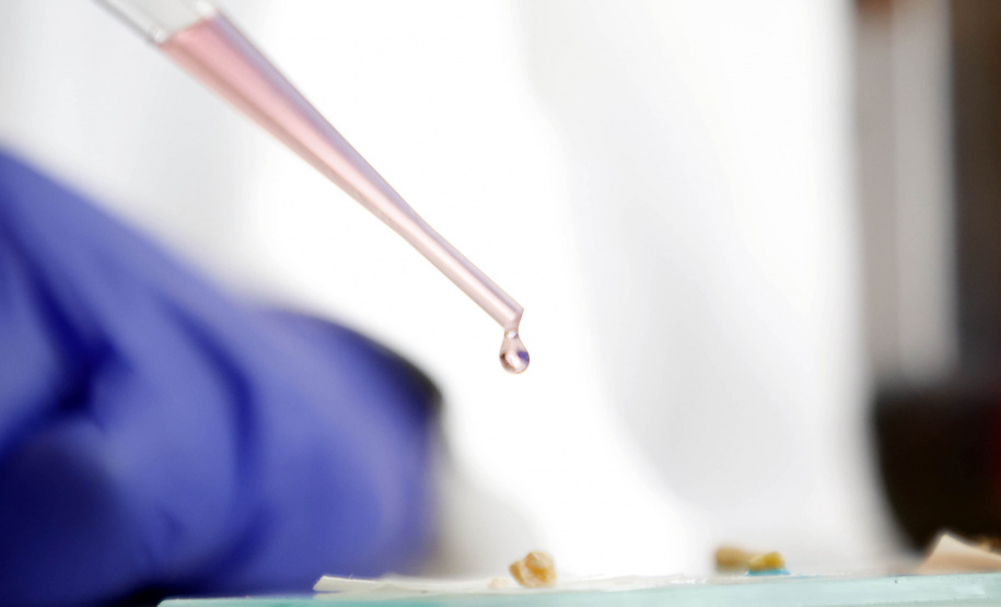 Polícia Científica do Paraná desponta na identificação de novas drogas e inserção de perfis genéticos