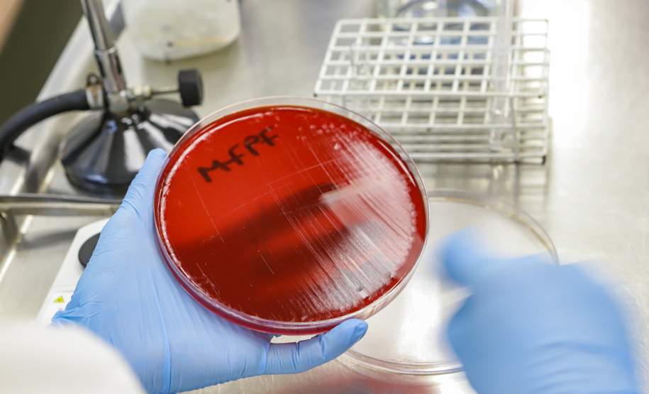 Lacen vira referência nacional e sai na vanguarda em projetos de monitoramento