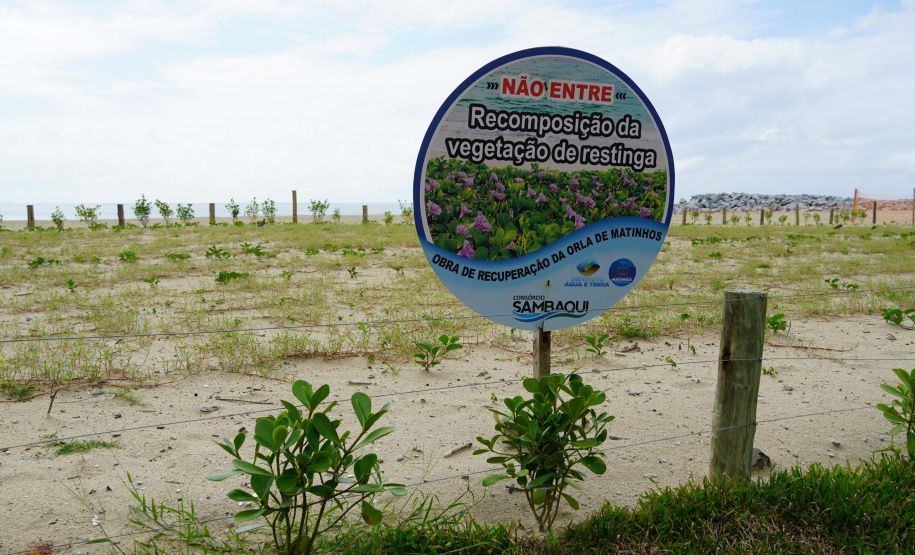 Revitalização da Orla de Matinhos vai ampliar em quase 5 vezes a área com restinga nativa