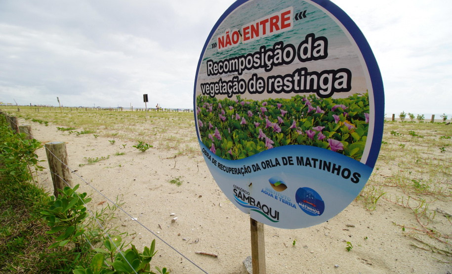 Revitalização da Orla de Matinhos vai ampliar em quase 5 vezes a área com restinga nativa