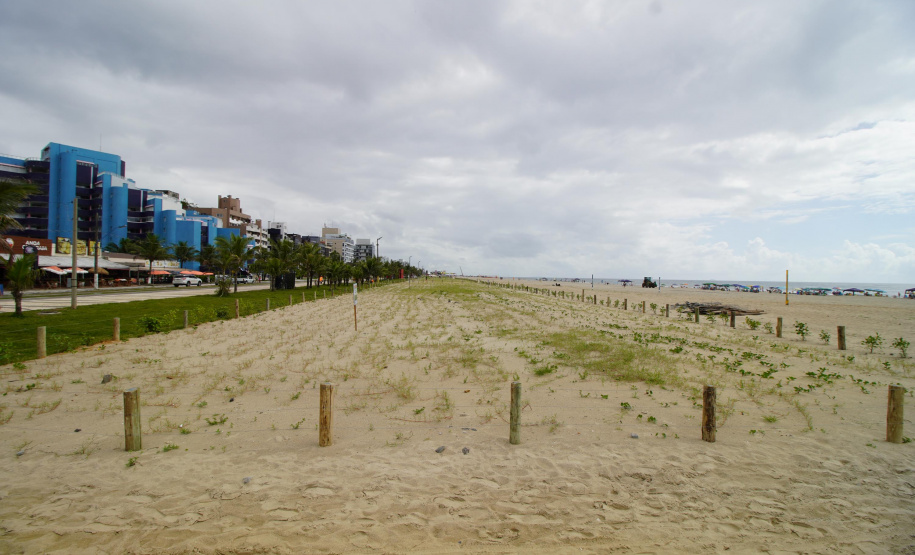 Revitalização da Orla de Matinhos vai ampliar em quase 5 vezes a área com restinga nativa