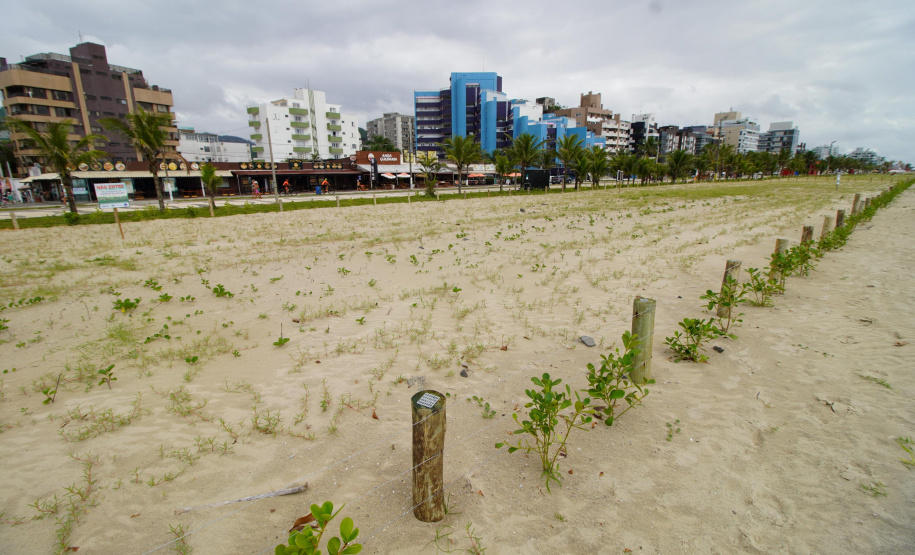 Revitalização da Orla de Matinhos vai ampliar em quase 5 vezes a área com restinga nativa