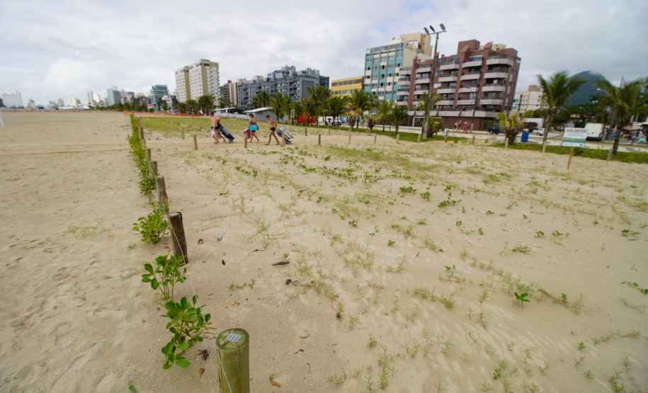 Revitalização da Orla de Matinhos vai ampliar em quase 5 vezes a área com restinga nativa