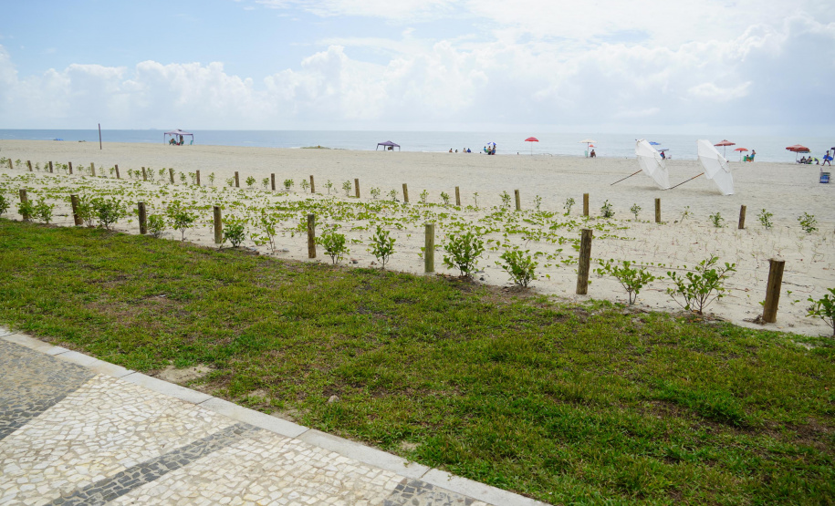 Revitalização da Orla de Matinhos vai ampliar em quase 5 vezes a área com restinga nativa