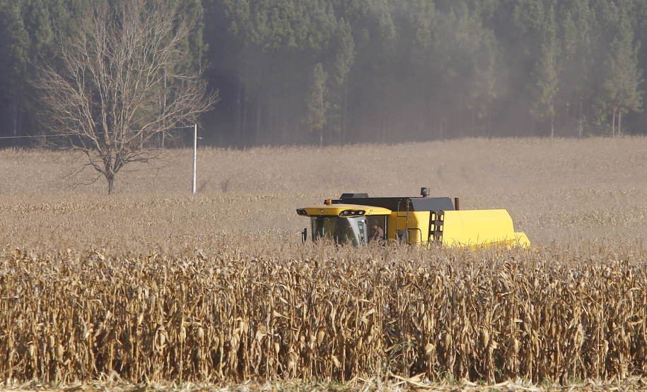 pesar do clima, agropecuária do Paraná manteve alto rendimento em 2022