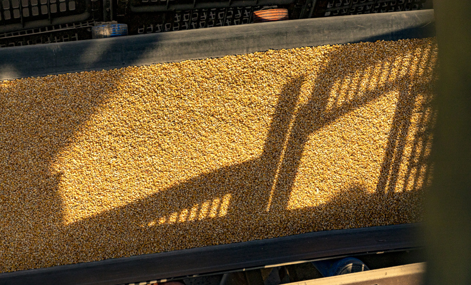 Volume de milho embarcado em janeiro, pelo Porto de Paranaguá, está 161% maior