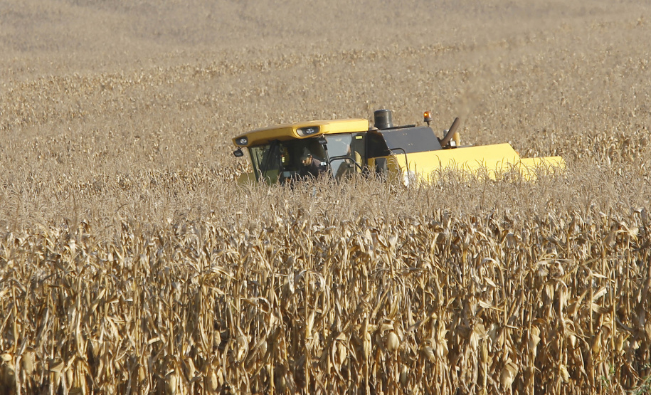 pesar do clima, agropecuária do Paraná manteve alto rendimento em 2022