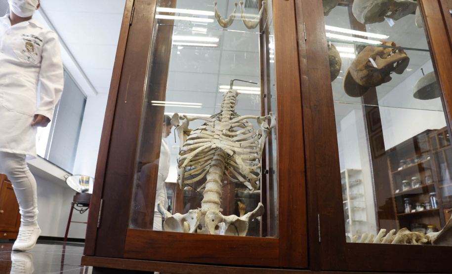 Polícia Científica do Paraná desponta na identificação de novas drogas e inserção de perfis genéticos