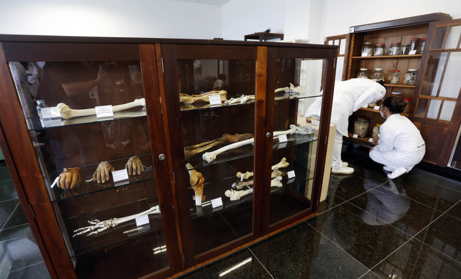 Polícia Científica do Paraná desponta na identificação de novas drogas e inserção de perfis genéticos