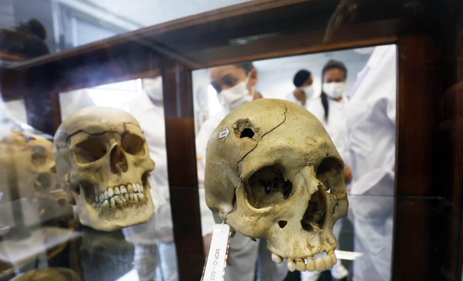 Polícia Científica do Paraná desponta na identificação de novas drogas e inserção de perfis genéticos