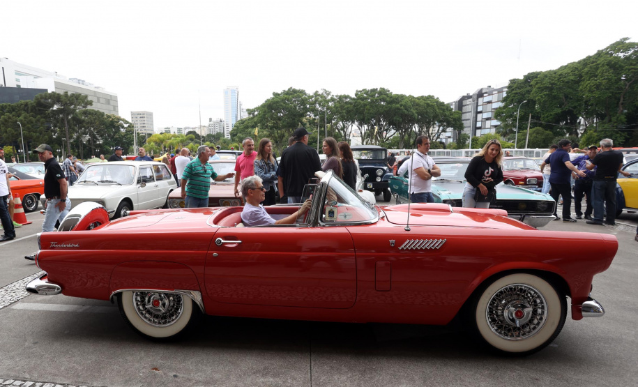 detran - placa preta