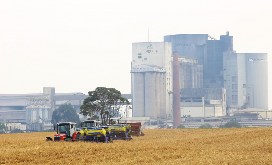 Boletim destaca início do plantio da 2ª safra de milho e aumento de 370% nas exportações do produto