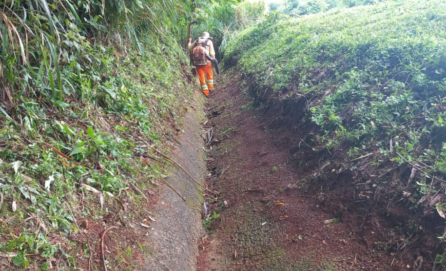 Rodovia estadual de Mandaguari recebe serviços de conservação, pintura e roçada