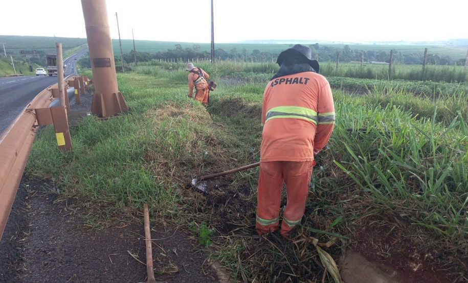 Rodovia estadual de Mandaguari recebe serviços de conservação, pintura e roçada